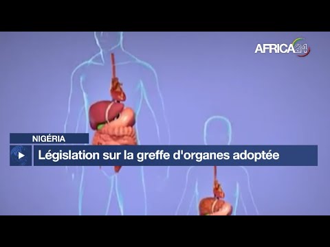 Nigéria : législation sur la greffe d'organes adoptée