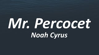 Noah Cyrus - Mr. Percocet (Lyrics)