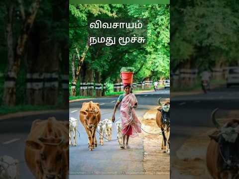 #FARMERSLIFESTYLE #LIFE#FOODNEED#GRAMATHU VAZHKKAI#WORLDNEED#HELP FARMERS