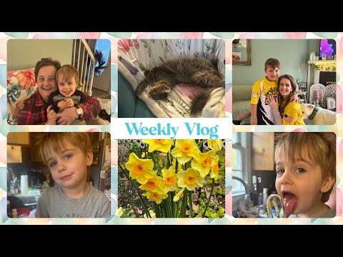 Weekly vlog #weeklyvlog, #southernyankee,