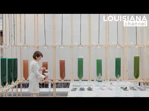 Architects ecoLogicStudio: When Change Become Impossible | Louisiana Channel