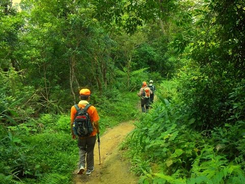 男の純情  大川栄策