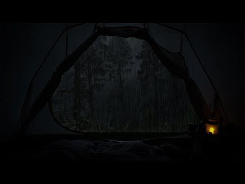 Shelter in tents and sleep in the woods during heavy rains - Rain sounds hitting the wooden panels