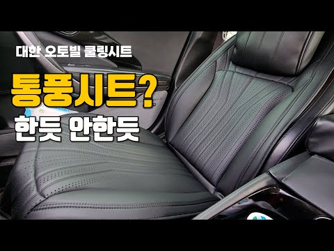 대한 리벨라 에어펄스 통풍시트 쿨링시트