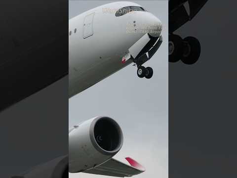 JAL A350-941XWB | Takeoff gear up, nose wheel retraction scene | Osaka ITAMI Airport