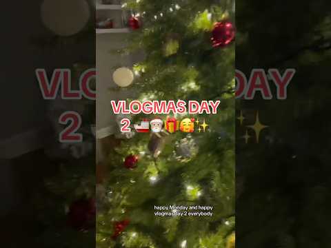 Vlogmas day 2 #vlogmas2024 #dayinthelife #minivlog #happyholidays