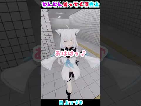 笑顔でどんどん迫って来る白上【白上フブキ/VRChat/ホロライブ】