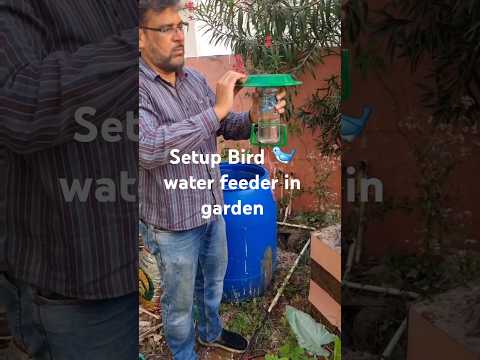 Set up bird water feeder in garden (S-110) #shorts #youtubeshorts #garden #plants #nature #birds