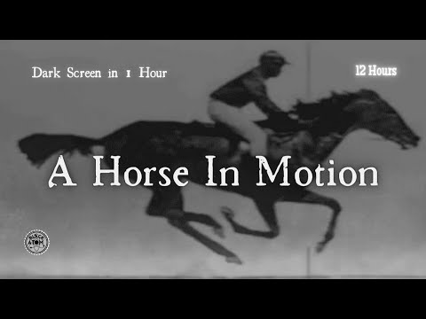 A Horse in Motion ⨀ The Sound of a Galloping Horse ⨀ Sounds for Sleep and Relaxation 😴