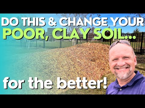 Do this & change your poor clay garden soil! | Wood Chips | Garden Hack