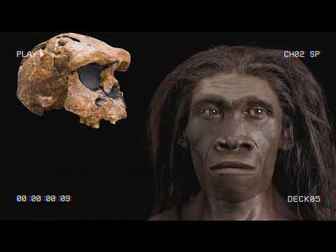 Historic Fossil Discoveries of the First Humans in Eurasia