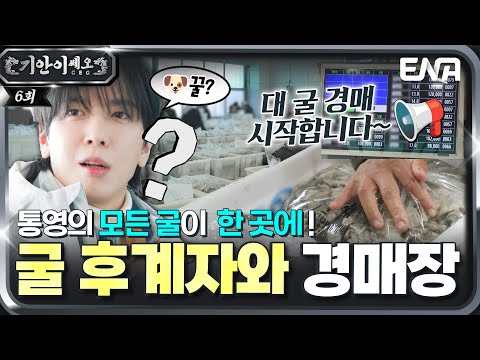 🐶꿀? 귀를 기울여야 살아남는 굴 경매 💸 정팀장과 함께하는 후계자의 고민 💬 #기안이쎄오 EP.06