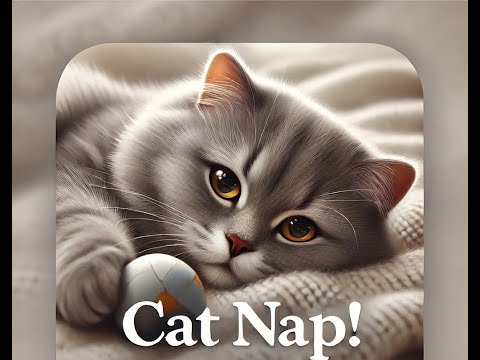 Willy Cat Falls Asleep While Playing! #FunnyCats #CatNap @Sukoto140