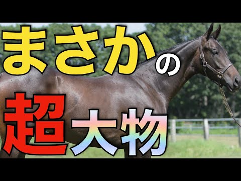 まさかの超大物が日本にやって来る！JBBAが一挙3頭の種牡馬導入を発表。