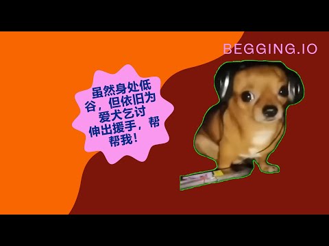 为爱犬乞讨狗粮，伸出援手贡献一份爱心！—Begging.io