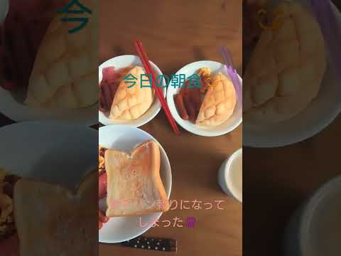 眠たすぎて手抜きすぎた朝食#大家族 #朝ごはん #眠たい #6児ママ#shorts