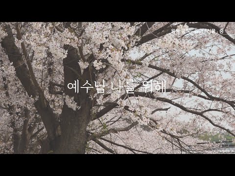 윙윙찬양 - 예수님 나를 위해