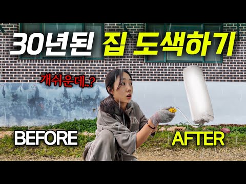 7만원으로 시골집 외벽 초간단 리모델링 하기🏠 근데 갑자기 비가 내린다고..? | 구독자이벤트 쪽파 수확