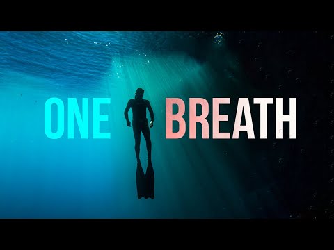 My Eye-Opening Journey Into Freediving