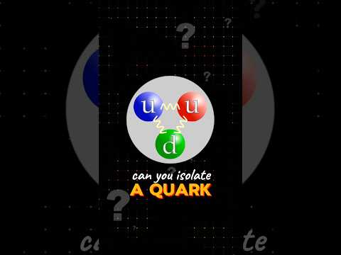 Quarks 🤯