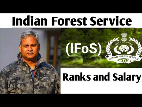 Indian Forest Service (IFoS) Ranks and Salary 🔥। भारतीय वन सेवा अधिकारी का Ranks and Salary 🔥🔥।2022