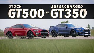 GT500 Mustang vs Supercharged GT350 Mustang | Roll Race Comparison