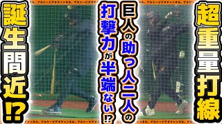 【巨人】超重量打線が誕生間近！？フルプ＆ティマが支配下登録に向け猛烈準備中！新人合同練習＆育成練習＆自主トレハイライト2025｜読売ジャイアンツ球場｜プロ野球ニュース