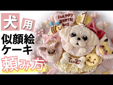 【犬用の似顔絵ケーキ】愛犬の誕生日に♪ネット注文の方法をご紹介！大切な日の思い出作り【＃056】How to order a dog's caricature cake