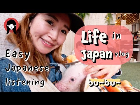 LIFE in JAPAN vlog | Pig park