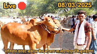 Live🛑 #शनिवार वरवट बकाल बैल बाजार // ता. संग्रामपूर जि. बुलढाणा सुप्रसिद्ध बैल बाजार//