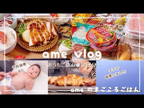 【主婦vlog】けっこうカツカツなのに車買っちゃった夫😇💸 。スーパー購入品/西松屋/鍋🍲鶏チャーシュー🐓【料理vlog/cooking/日常】