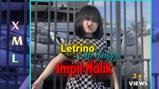 Letrino mi chagipa 🔀 Garo new song xml file description 🔰⤵️