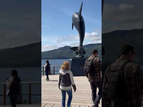 Orca statue #shorts #ytshortsindia #ytviral