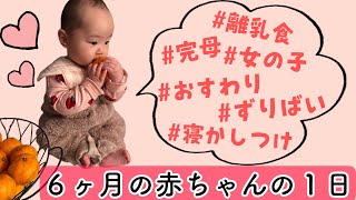 【生後６ヶ月】赤ちゃんの１日ルーティン🎶