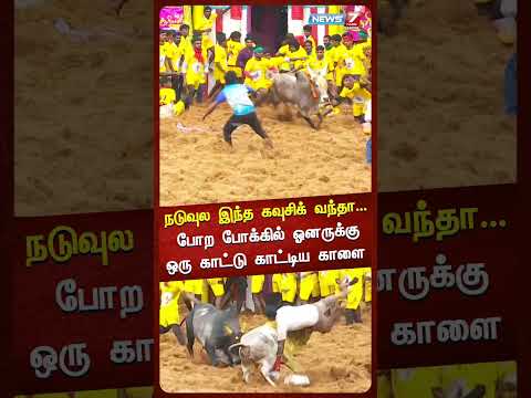 “நடுவுல இந்த கவுசிக் வந்தா...”போற போக்கில் ஓனருக்குஒரு காட்டு காட்டிய காளை