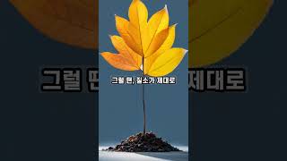 [1분 식물 상식] 함수구연산의 효과와 주의사항에 대해 알아보자