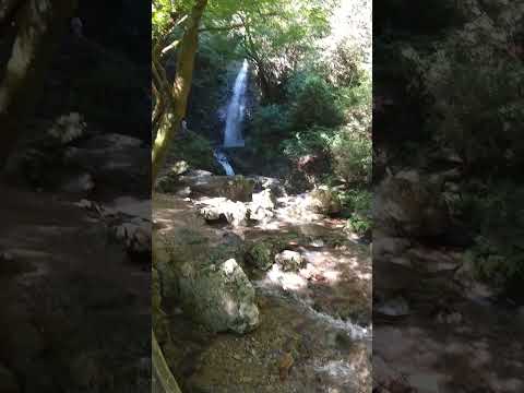 払沢の滝（Hossawa Falls Tokyo）　2023年9月