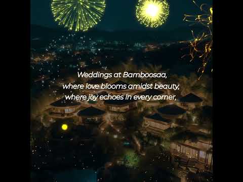 Bamboosa - Wedding video