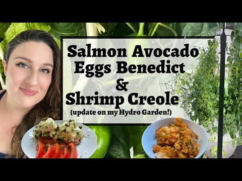 Salmon Avocado Eggs Benedict | Shrimp Creole | Hydro Garden Update