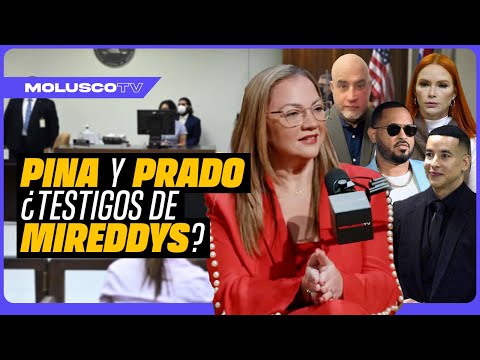 Pina y Prado podrían ser testigos de Mireddys VS DY: La lcda Chantal Delgado aclara TODO el proceso