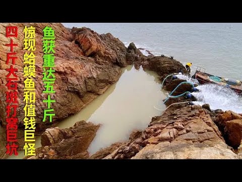 【阿向趕海】四十斤大石斑打窩 驚現蛤蟆魚和值錢巨怪 龍蝦鯊魚紛紛出沒，魚獲重達五十斤