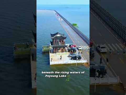 🌊🛣️🚘✨Exploring the Underwater Highway in Flood Season!#PoyangLake#Jiangxi #China#Water#Lake#Road#Hot