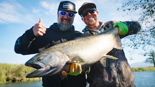 Tidewater BOBBER DOWNS! - Coastal Fall Chinook Fishing