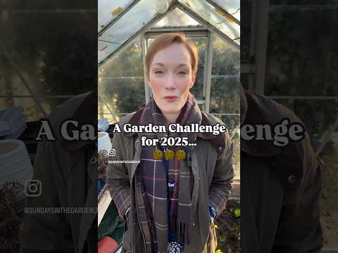 ✨🪴 THE BIG GARDEN CHALLENGE 2025 🪴✨ #gardening #garden #cottagegarden #allotment #gardeninginspo