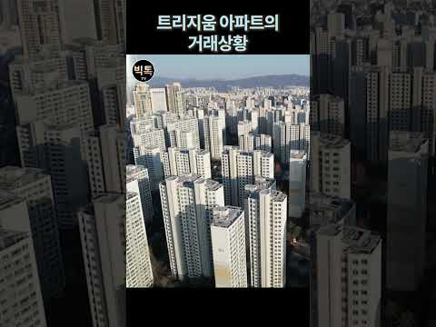 잠실 트리지움 아파트 거래상황 #shortsvideo