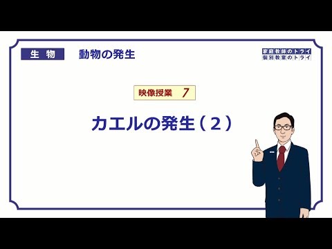 【高校生物】　動物の発生7　カエルの発生（２）（２０分）