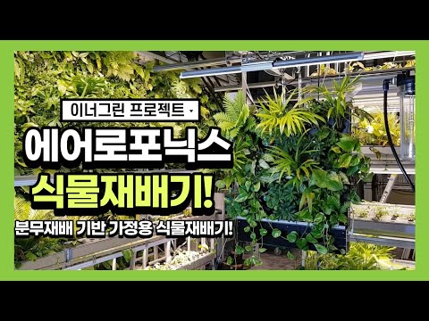 [수경재배] 에어로포닉스 식물재배기/식물공기청정기 그린에어!