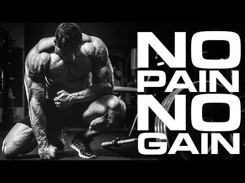 TOP 20 Songs of NEFFEX 🔥 Best Workout Music 2024 🔥 Workout Motivation Music 2024