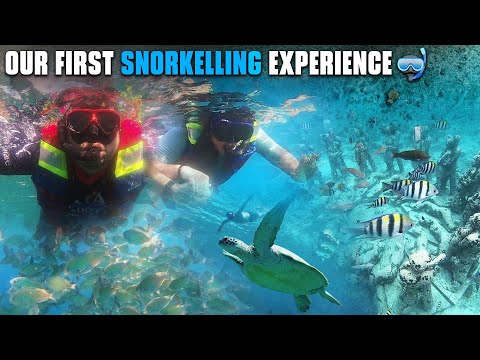 Our First SNORKELLING 🤿 Experience 😳 | Gili T Bali | Vishakha Divesh ♥️