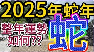 【古柏論命 - 張古柏】2025年乙巳年12生肖整年運勢透析 – 蛇